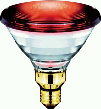 Philips PAR38E Infrarot Ersatzlampe E27