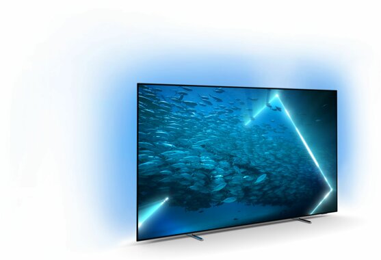 Philips outlets Fernseher 48Zoll 123 cm Bildschirmdiagonale