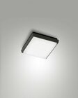 Fabas Luce 3314-69-101 LED Wand- Deckenleuchte sw.