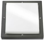 SG Leuchten 623188 Bassi LED 10W graphit/opal Dmmer